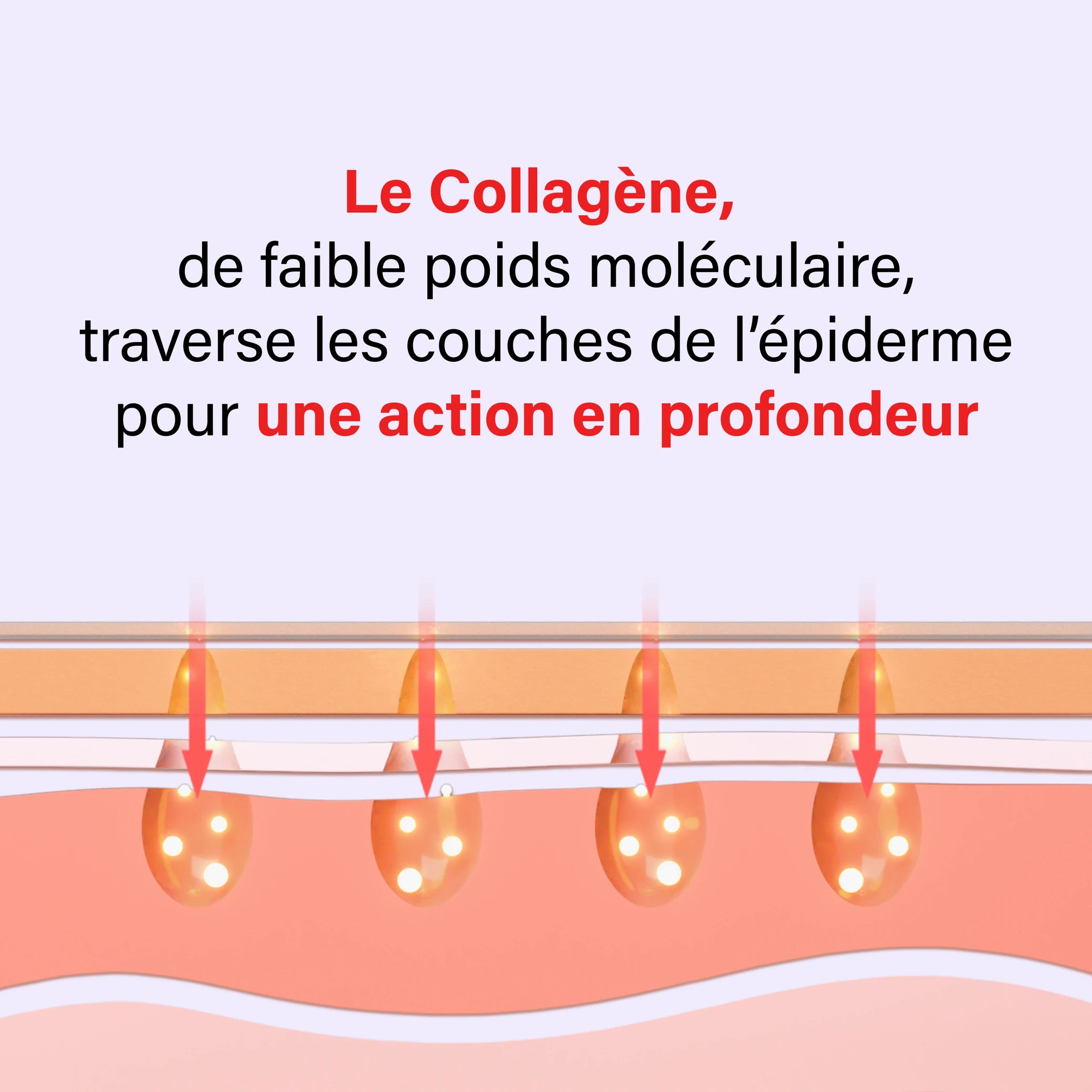 Masque de Nuit au Collagène pour le visage